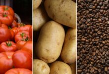 IPCA-15 de outubro: prévia registra alta de 0,32%, com alimentos pressionando o índice