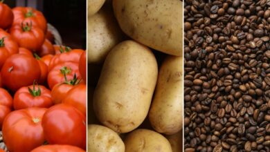 Alerta no supermercado! Veja os alimentos que pesaram no bolso e os que ficaram mais baratos em outubro 3 IPCA-15 de outubro: prévia registra alta de 0,32%, com alimentos pressionando o índice