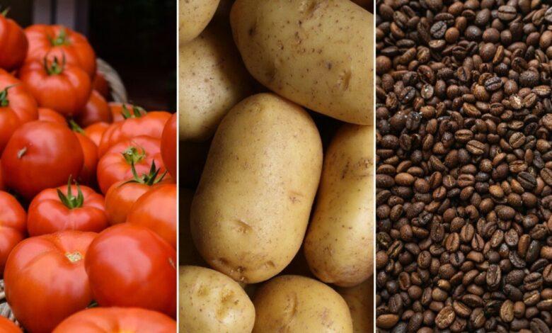 IPCA-15 de outubro: prévia registra alta de 0,32%, com alimentos pressionando o índice